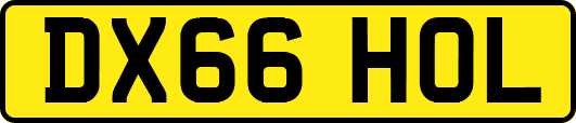 DX66HOL
