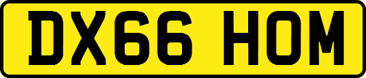 DX66HOM