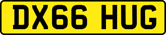 DX66HUG