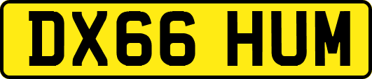 DX66HUM