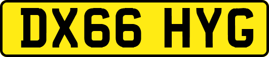 DX66HYG