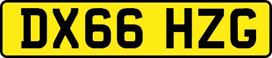 DX66HZG