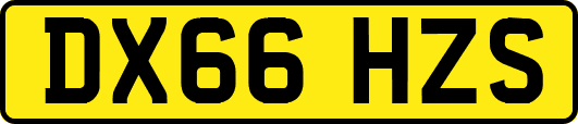 DX66HZS