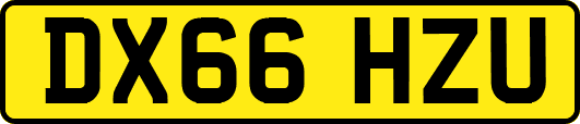 DX66HZU