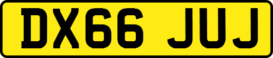 DX66JUJ