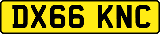 DX66KNC