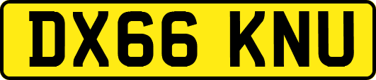 DX66KNU