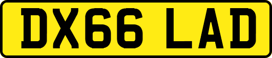 DX66LAD