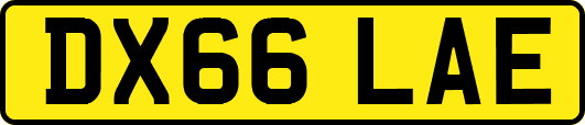 DX66LAE