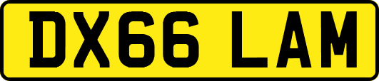 DX66LAM