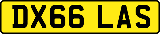 DX66LAS