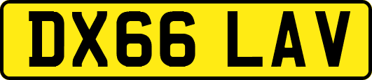 DX66LAV