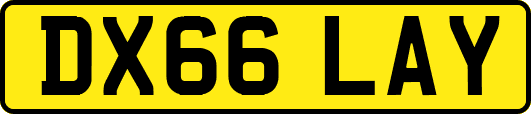 DX66LAY