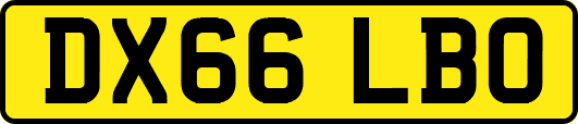 DX66LBO