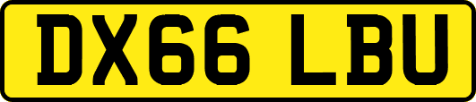 DX66LBU