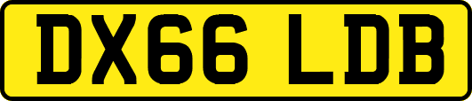DX66LDB