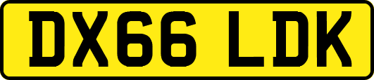 DX66LDK