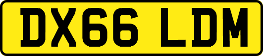DX66LDM