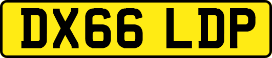 DX66LDP