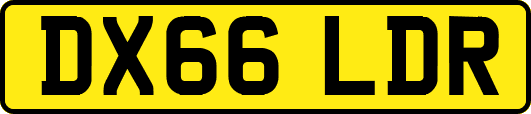 DX66LDR