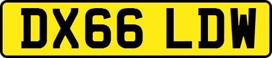 DX66LDW
