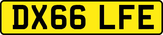DX66LFE