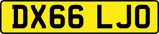 DX66LJO