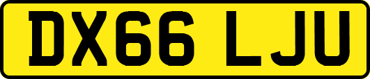 DX66LJU