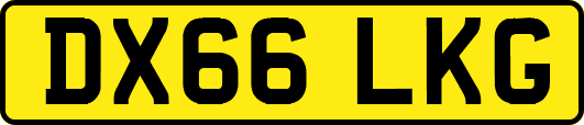 DX66LKG