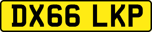 DX66LKP