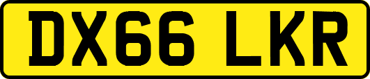 DX66LKR
