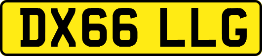DX66LLG