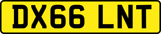 DX66LNT