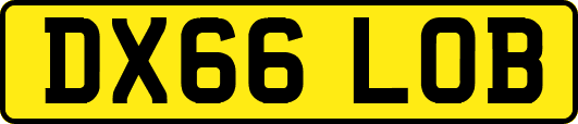 DX66LOB