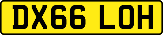 DX66LOH