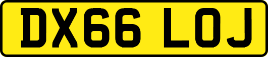 DX66LOJ