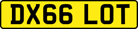 DX66LOT