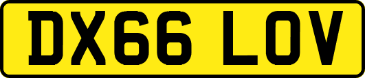 DX66LOV