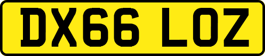 DX66LOZ