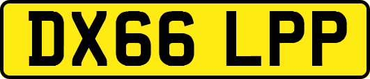 DX66LPP