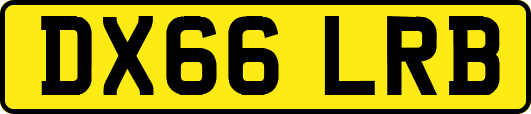 DX66LRB