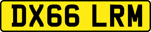 DX66LRM