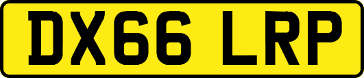 DX66LRP