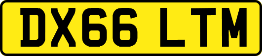 DX66LTM