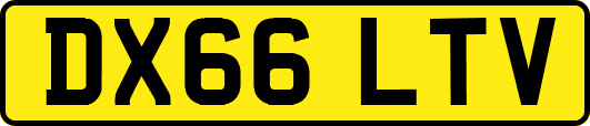 DX66LTV