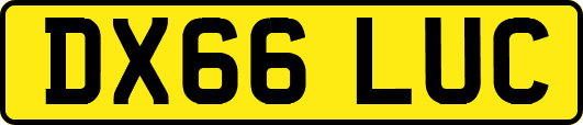DX66LUC