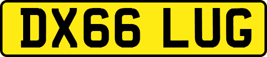 DX66LUG