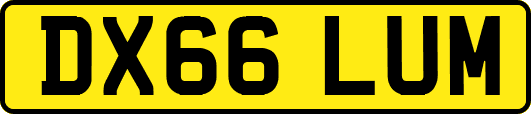 DX66LUM