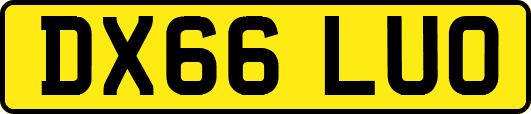 DX66LUO