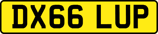 DX66LUP